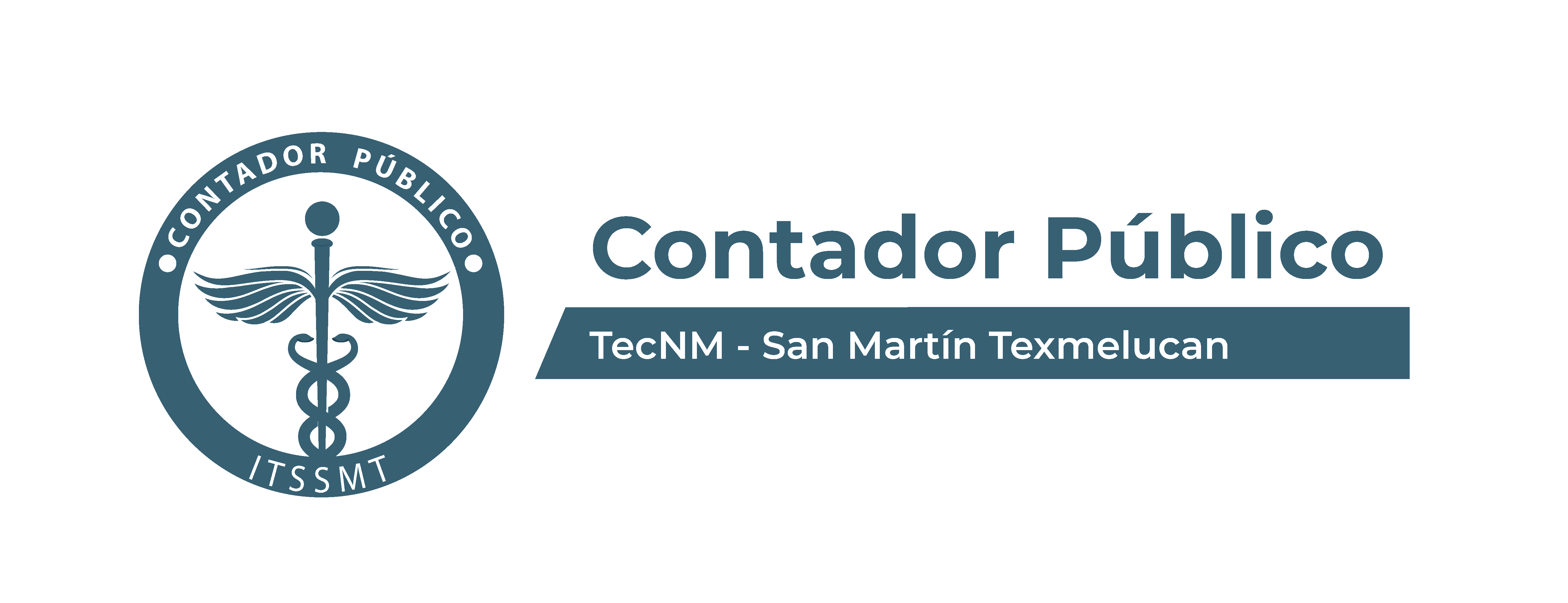 Contador Público